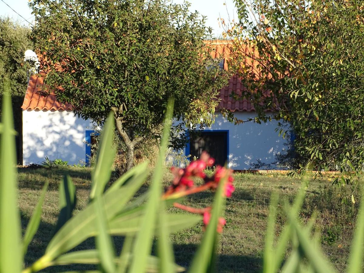 Quinta Das Teimosas By Stay In Alentejo Cercal do Alentejo Buitenkant foto